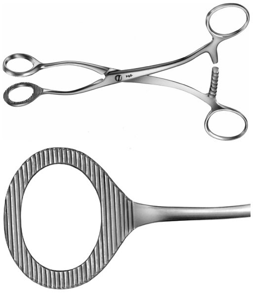 AE-AN709R, COLLIN, SPONGE HOLDING, ORGAN AND TISSUE GRASPING FORCEPS, 170 mm, 6 3/4" 