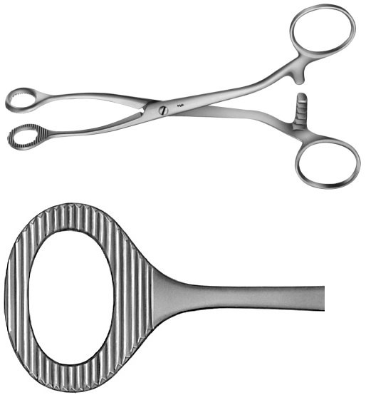 AE-BH906R, COLLIN, SPONGE HOLDING, ORGAN AND TISSUE GRASPING FORCEPS, OVAL, 	160 mm, 6 1/2" 	