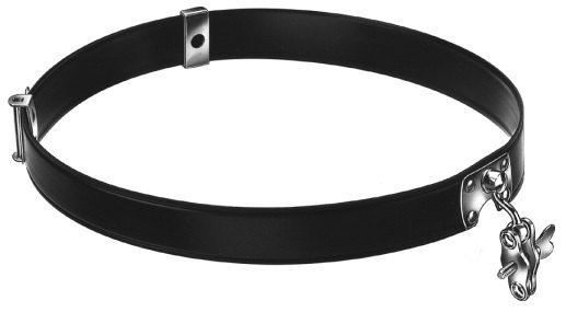 AE-AC413, ZIEGLER, HEAD BAND 