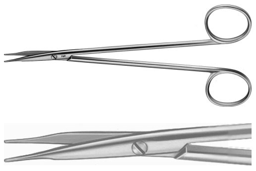 AE-BC177R, JAMESON 	DISSECTING SCISSORS 	CURVED 	150 mm, 6" 
