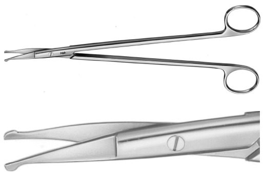 AE-BC645R, STRULLY 	SCISSORS 	CURVED, PROBE POINTED 	220 mm, 8 3/4" 