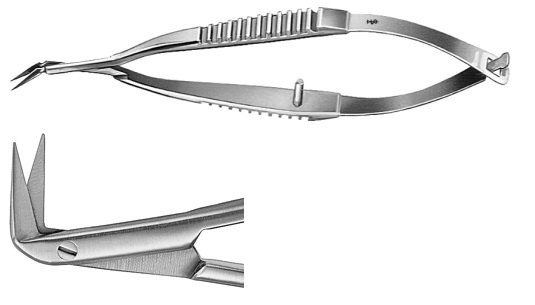 Scissors, Delicate, Double Curved, Sharp - AA154