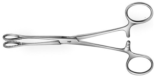 AE-BF112R, FÖRSTER- BALLENGER 	SPONGE FORCEPS 	STRAIGHT 	180 mm, 7" 
