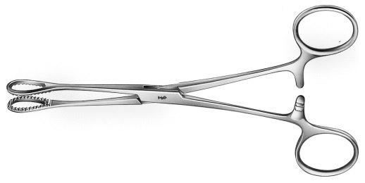 AE-BF113R, FÖRSTER- BALLENGER 	SPONGE FORCEPS 	CURVED 	180 mm, 7" 