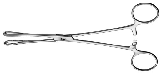 AE-BF116R, RAMPLEY 	SPONGEFORCEPS 	 	180 mm, 7" 
