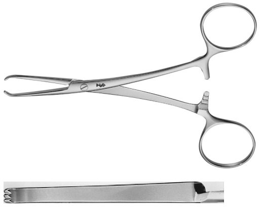 AE-BF299R, POIRIER 	GRASPING FORCEPS 	2X3 TEETH 	125 mm, 5" 