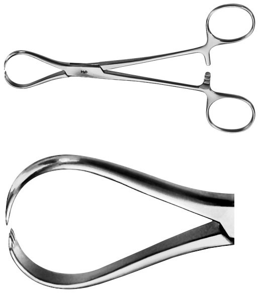 AE-BF306R, JACKSON 	TENDON SEIZING FORCEPS 	4 x 5 TEETH 	150 mm, 6" 