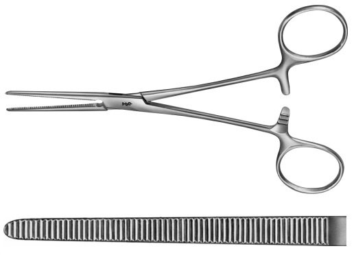AE-BH446R, ROCHESTER- PEAN 	ARTERY FORCEPS 	STRAIGHT 	200 mm, 8" 