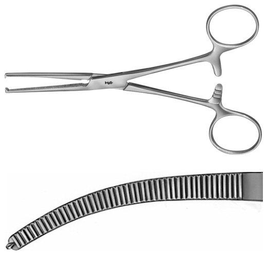 AE-BH631R, KOCHER 	ARTERY FORCEPS 	1X2 TEETH, CURVED 	150 mm, 6" 