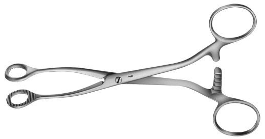 AE-BH906R, COLLIN 	SPONGE HOLDING-, ORGAN- AND TISSUE GRASPING FORCEPS 	OVAL 	160 mm, 6 1/2" 