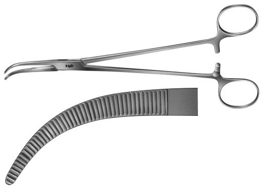 AE-BJ021R, OVERHOLT- GEISSENDÖRFER DISSECTING FORCEPS 	FIGURE 1 	210 mm, 8 1/4" 