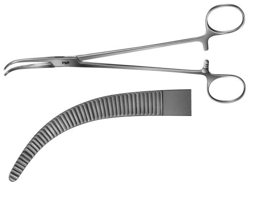 AE-BJ031R, OVERHOLT- GEISSENDÖRFER DISSECTING FORCEPS 	FIGURE 1 	260 mm, 10 1/4" 