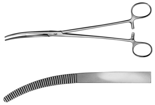 AE-BJ041R, RUMEL DISSECTING FORCEPS 	CURVED 	240 mm, 9 1/2" 