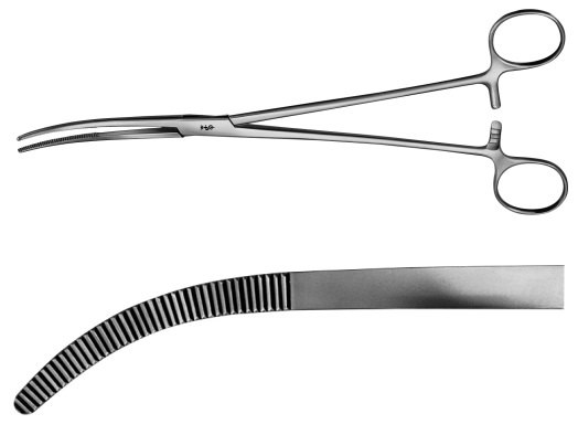 AE-BJ042R, RUMEL DISSECTING FORCEPS 	CURVED 	240 mm, 9 1/2" 