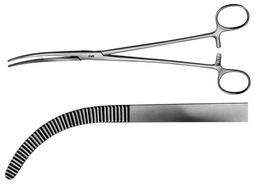 AE-BJ043R, RUMEL DISSECTING FORCEPS 	CURVED 	240 mm, 9 1/2" 