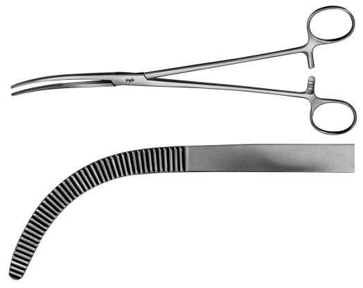 AE-BJ044R, RUMEL DISSECTING FORCEPS 	CURVED 	240 mm, 9 1/2"