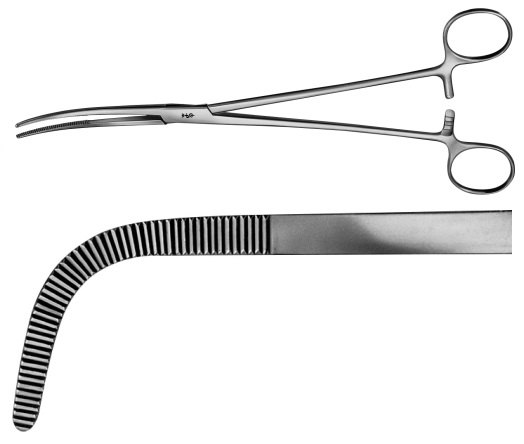 AE-BJ045R, RUMEL DISSECTING FORCEPS 	CURVED 	240 mm, 9 1/2" 