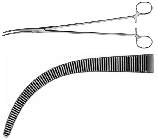 AE-BJ048R, ZENKER DISSECTING FORCEPS 	CURVED 	290 mm, 11 1/2" 