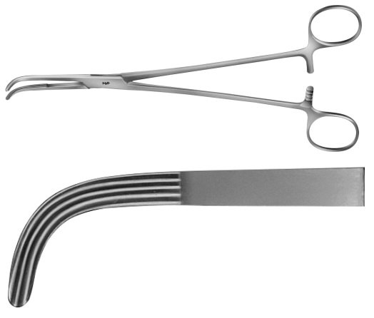 AE-BJ061R, MIXTER DISSECTING FORCEPS 	CURVED 	220 mm, 8 3/4"