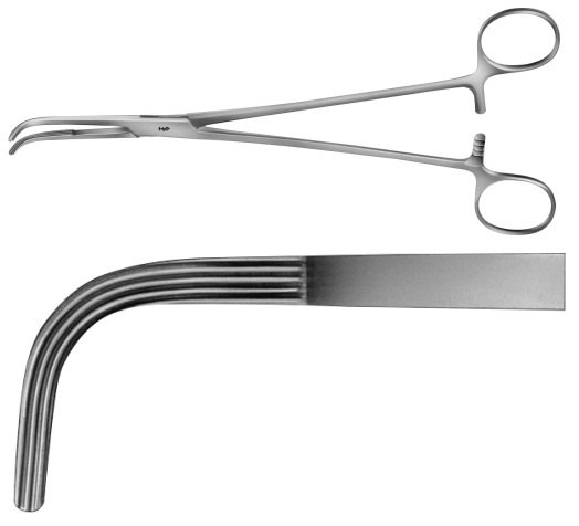 AE-BJ062R, MIXTER DISSECTING FORCEPS 	CURVED 	250 mm, 10" 