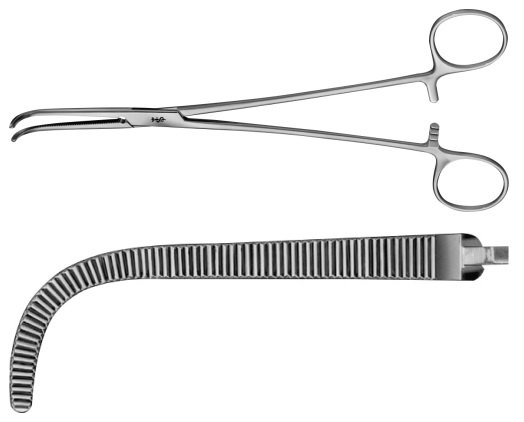 AE-BJ067R, O'SHAUGHNESSY DISSECTING FORCEPS 	CURVED 	220 mm, 8 3/4" 