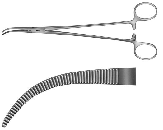 AE-BJ081R, OVERHOLT DISSECTING FORCEPS 	FINE PATTERN, FIGURE 1 	210 mm, 8 1/4" 