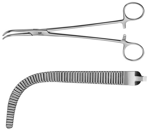 AE-BJ120R, O'SHAUGHNESSY DISSECTING FORCEPS 	 	150 mm, 6" 