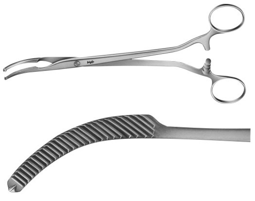 AE-BJ309R, MIKULICZ PERITONEUM FORCEPS 1X2 TEETH, CURVED 	205 mm, 8"