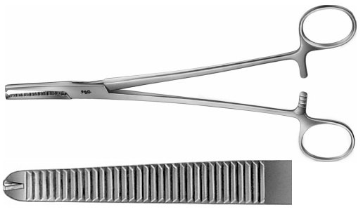 AE-BJ500R, PHANEUF HYSTEREKTOMY FORCEPS 	1X2 TEETH, STRAIGHT 	210 mm, 8 1/4" 