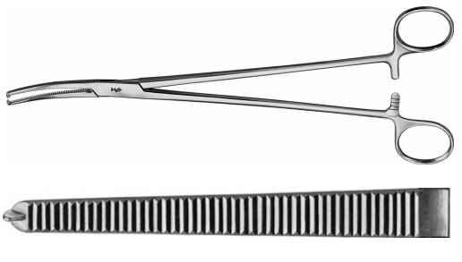 AE-BJ510R, HOLZBACH HYSTERECTOMY FORCEPS 1X2 TEETH, STRAIGHT 	245 mm, 9 3/4"