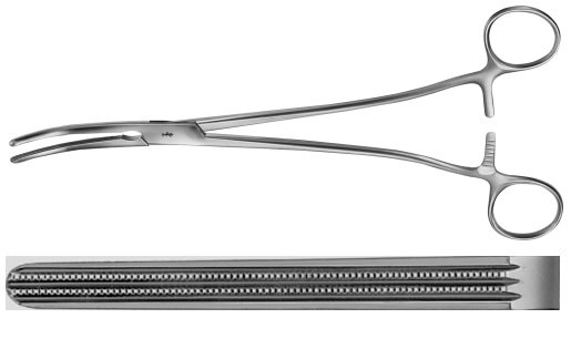 AE-BJ550R, WERTHEIM 	HYSTEREKTOMY FORCEPS 	PARAMETRIUM, STRAIGHT 	250 mm, 10"