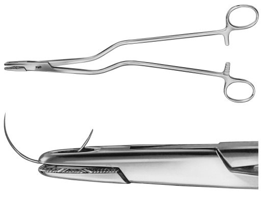 AE-BM280R, MASSON- LUETHY NEEDLE HOLDER 	BAYONET SHAPED 	255 mm, 10" 