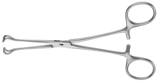 AE-EA052R, BABCOCK 	ATRAUMATA ORGAN- AND TISSUE GRASPING FORCEPS 	ATRAUMATA DARM- UND LUNGENFASSZANGE 	215 mm, 8 1/2" 