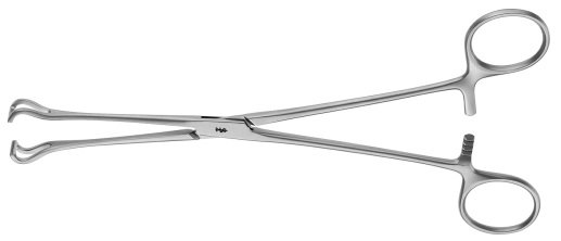 AE-FB936R, BABCOCK 	ATRAUMATA ORGAN- AND TISSUE GRASPING FORCEPS 	ATRAUMATA INTESTINAL- AND LUNG GRASPING FORCEPS 	220 mm, 8 3/4"