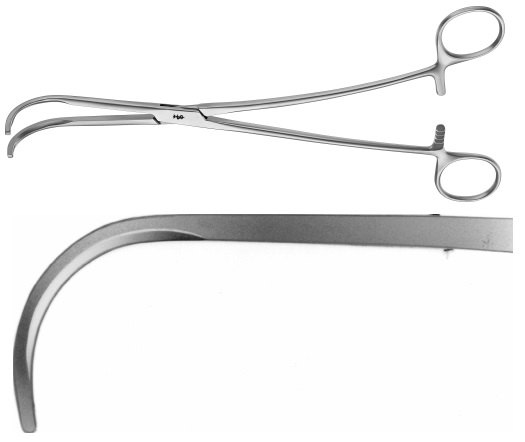 AE-FB961R, SEMB DISSECTING FORCEPS 	 	240 mm, 9 1/2"