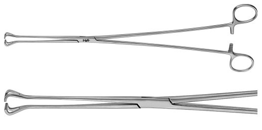 AE-MB300R, BABCOCK 	FORCEPS 	 	357 mm, 8 3/4" 