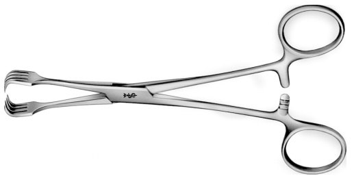 AE-BF311R, BRAUN 	TISSUE GRASPING FORCEPS 	4 x 4 TEETH, 10 MM 	155 mm, 6" 