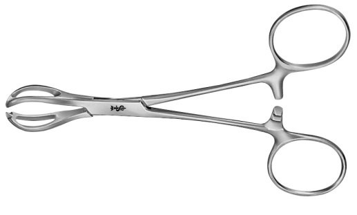 AE-BF451R, LANE 	TOWEL CLAMP 	ORGAN- AND TISSUE GRASPING FORCEPS 	155 mm, 6" 