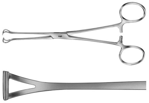 AE-EA033R, BABCOCK 	ORGAN- AND TISSUE GRASPING FORCEPS 	INTESTINAL- AND LUNG GRASPING FORCEPS 	200 mm, 8" 