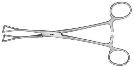 AE-EA042R, DUVAL- COLLIN INTESTINAL GRASPING FORCEPS 200 mm, 8"