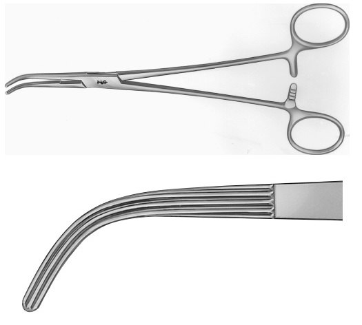 AE-EB003R, LAHEY (SWEET) GALL DUCT FORCEPS 	 	200 mm, 8"
