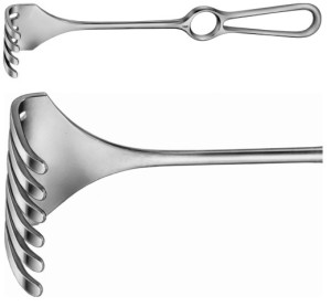 AE-BT286R, ISRAEL RETRACTOR 6 PRONGS, BLUNT, 53 x 62 MM 255 mm, 10"