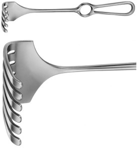 AE-BT287R, ISRAEL RETRACTOR 6-PRONGS, BLUNT, 70X70MM 255 mm, 10"
