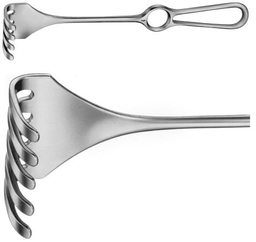 AE-BT285R, ISRAEL 	RETRACTOR 	5-PRONGS, BLUNT, 47X51MM 	255 mm, 10" AE-BT285R, ISRAEL 	RETRACTOR 	5-PRONGS, BLUNT, 47X51MM 	255 mm, 10" 