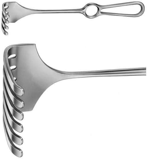 AE-BT287R, ISRAEL 	RETRACTOR 	6-PRONGS, BLUNT, 70X70MM 	255 mm, 10" 
