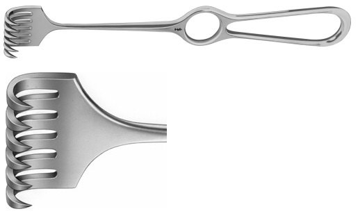 AE-BT261R, VOLKMANN RETRACTOR 6-PRONGS, SEMI SHARP, 8,5X29MM 220 mm, 8 3/4" 
