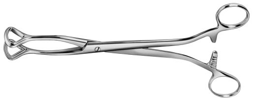 AE-EA989R, LUER, HAEMORRHOIDAL FORCEPS, 245 mm, 9 3/4"