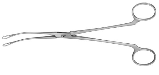AE-EB221R, BLAKE, GALL STONE FORCEPS CURVED 205 mm, 8"