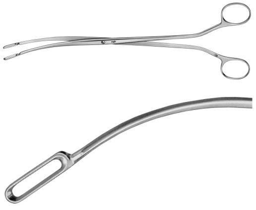 AE-EB242R, DESJARDINS, GALL STONE FORCEPS EXTREMELY DELICATE PATTERN 225 mm, 9"