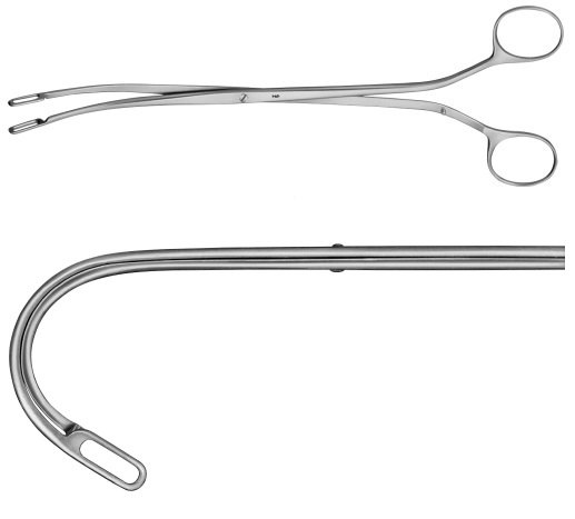 AE-EF054R, RANDALL, KIDNEY STONE FORCEPS, 225 mm, 9"